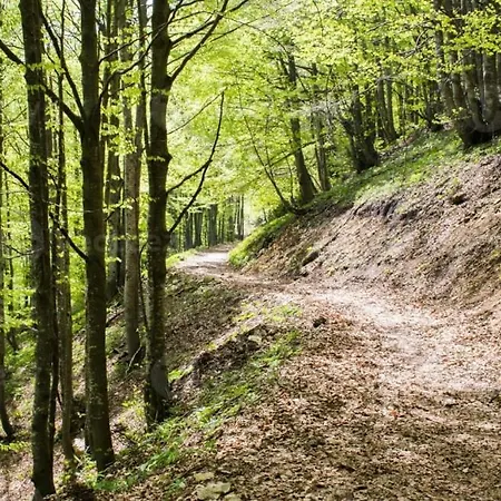 L'odilya - 4 Pers - Proche Obernai Et Mont Sainte-odile *