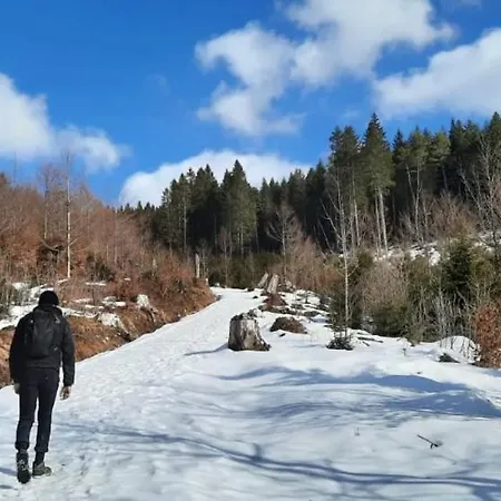 L'odilya - 4 Pers - Proche Obernai Et Mont Sainte-odile *
