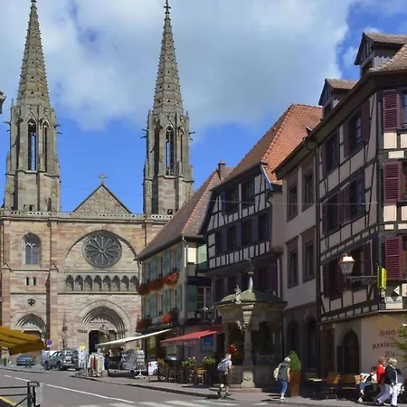 L'odilya - 4 Pers - Proche Obernai Et Mont Sainte-odile Apartment Ottrott