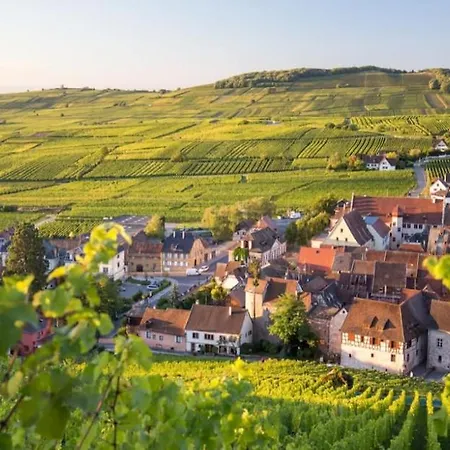 L'odilya - 4 Pers - Proche Obernai Et Mont Sainte-odile Apartment Ottrott